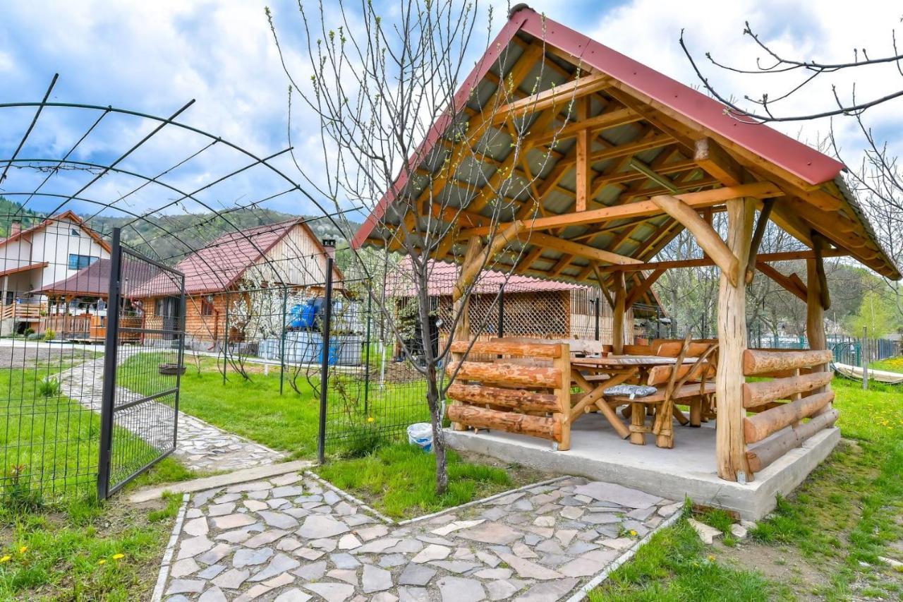 Casa Nely Hotel Sighetu Marmatiei Bagian luar foto