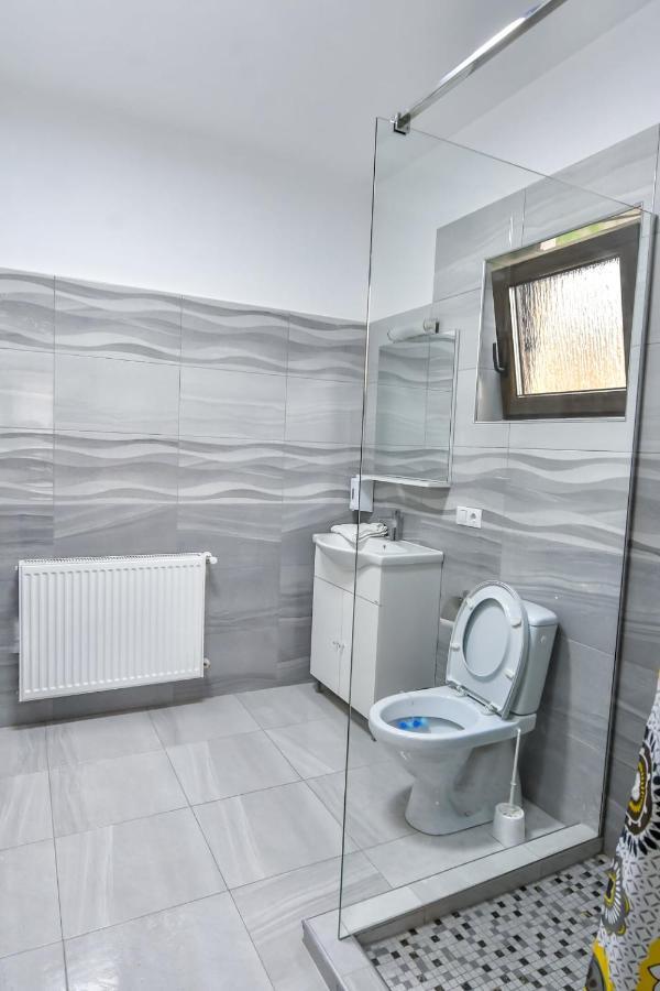 Casa Nely Hotel Sighetu Marmatiei Bagian luar foto